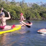 Private Guided Kayak Tour on Big Hickory Pass - Wildlife Encounters in Estero Bay