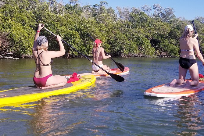 Private Guided Kayak Tour on Big Hickory Pass - Wildlife Encounters in Estero Bay