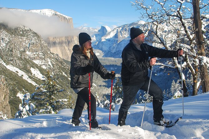 Private Guided Snowshoe Hike in Yosemite - Customizable Tour Options for All Skill Levels