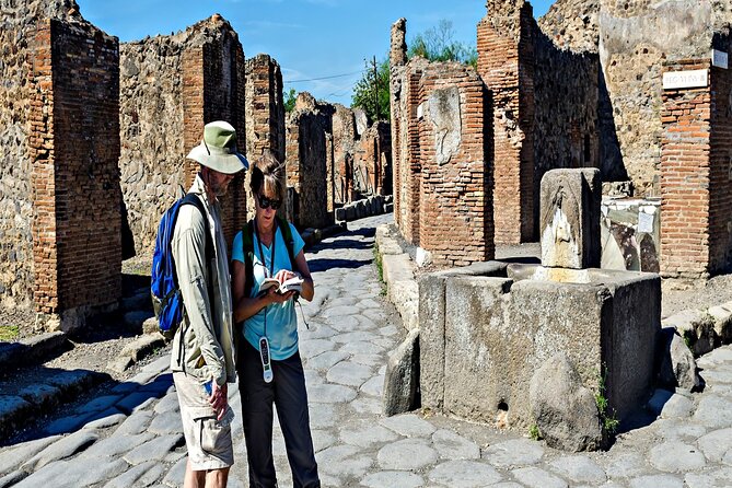 Private Guided Tour in Pompeii - The Pompeii Ruins: A 2-Hour Guided Exploration
