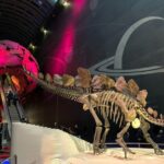 Private Guided Tour of Natural History Museum - Skip the Line - Highlights of the Dinosaur and Earthquake Galleries