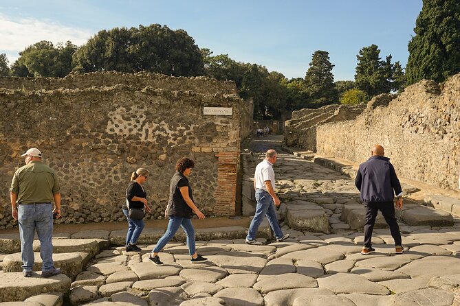 Private Guided Tour of Pompeii with Lunch in Winery - Starting Point at Coffee Shop Vittoria in Pompeii
