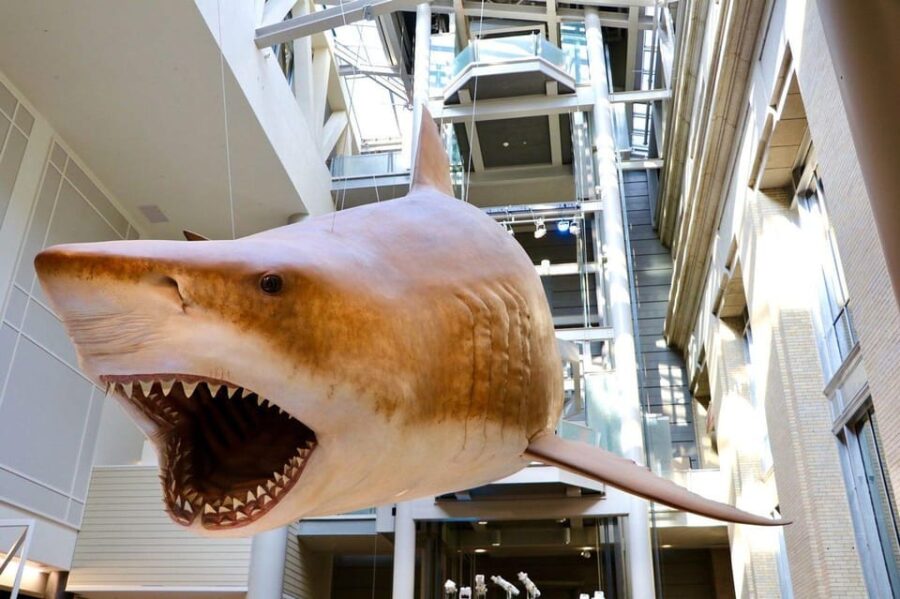 Private Guided Tour of The Natural History Museum - The Private Guided Tour Offers Personal Attention and Expert Insights