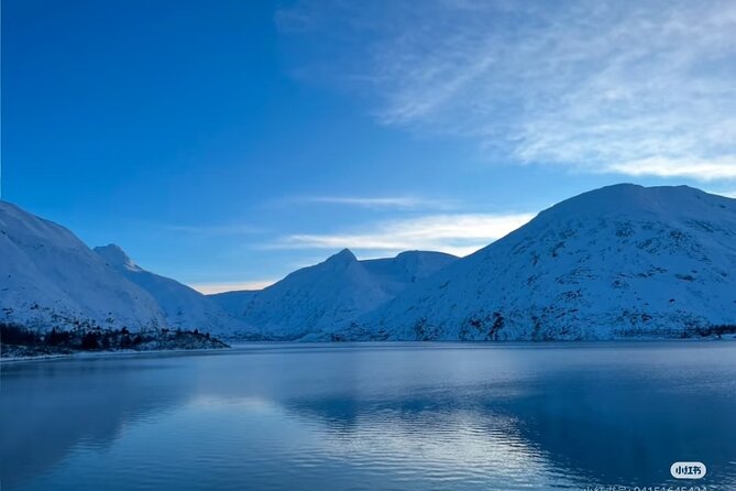 Private Guided Tour Whittier Cruise pick up - Visiting Portage Lake for Panoramic Views and Glacier Sightings