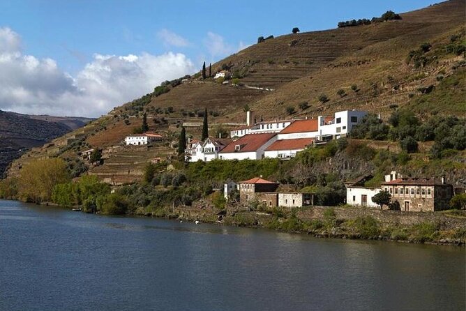 Private Half-Day Douro Tour - Starting the Journey from Porto’s Vímara Peres Statue