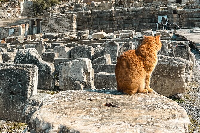 Private Half Day Ephesus Shore Excursion from Kusadasi - The Temple of Artemis: From Ruins to Reflection