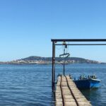 Private Half-Day Languedoc Wine and Oyster Tour from Sète - The Tours Starting Point Near Sete with Pickup Service