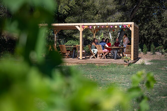 Private Half-Day Languedoc Wine Tour from Sète - Exploring Domaine Saint-Andre by the Lagoon