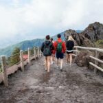Private Half-Day Sightseeing Tour of Vesuvius National Park - Exploring Vesuvius National Park in Depth