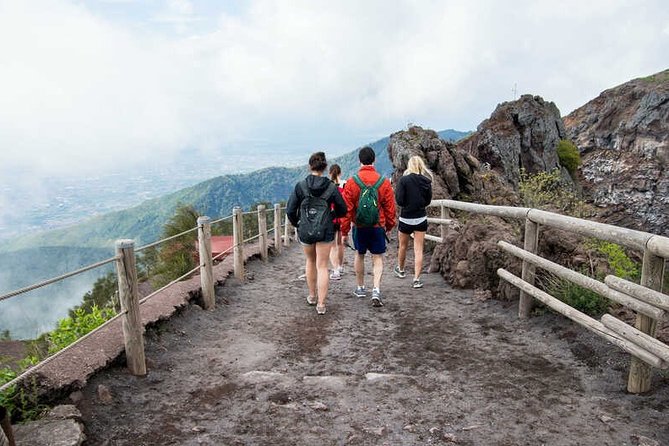 Private Half-Day Sightseeing Tour of Vesuvius National Park - Exploring Vesuvius National Park in Depth