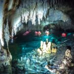 Private Half day Tour Cenote Cave and Snorkeling - Snorkeling with Sea Turtles in Akumal Beach
