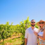 Private Half-Day Tour from Florence to Chianti Wine Region - Scenic Drive Through Tuscany’s Iconic Vineyards and Olive Groves