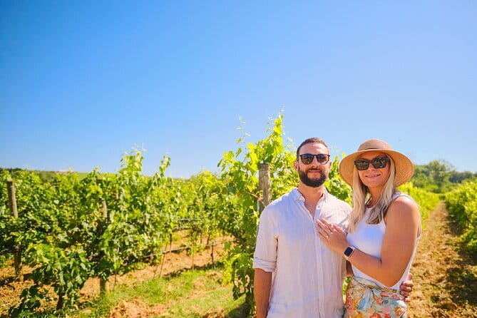 Private Half-Day Tour from Florence to Chianti Wine Region - Scenic Drive Through Tuscany’s Iconic Vineyards and Olive Groves