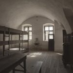 Private Half-Day Tour From Prague To Terezín Concentration Camp - Pickup and Transportation in a Limousine for Comfort and Convenience