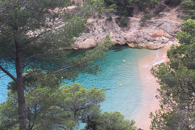 Private Half Day Tour in Monserrat with Driver - Exploring the Montserrat Abbey and the Black Virgin
