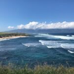 Private Halfway to Hana Tour - Visiting Hookipa Beach Park: First Stop on the Road to Hana