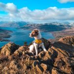 Private Harry Potter, Glenfinnan Viaduct, Highlands tour Glasgow - The Magic Begins at Stirling Castle’s Historic Grounds
