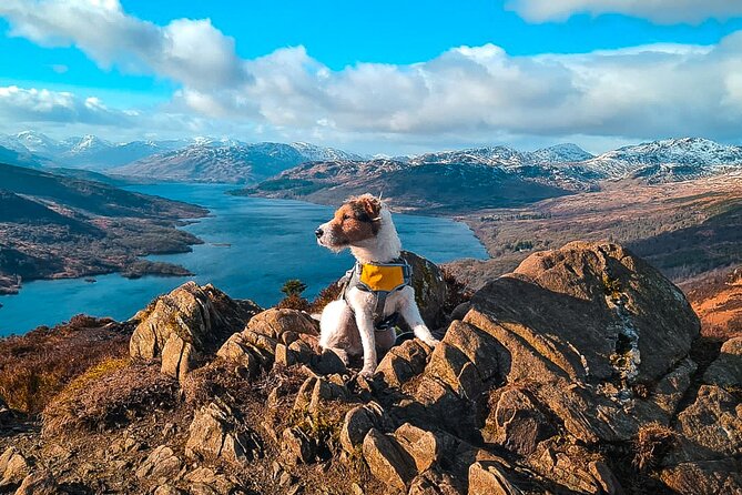 Private Harry Potter, Glenfinnan Viaduct, Highlands tour Glasgow - The Magic Begins at Stirling Castle’s Historic Grounds