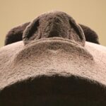 Private Highlights Tour of the British Museum - Navigating the Museum’s Most Famous Artifacts