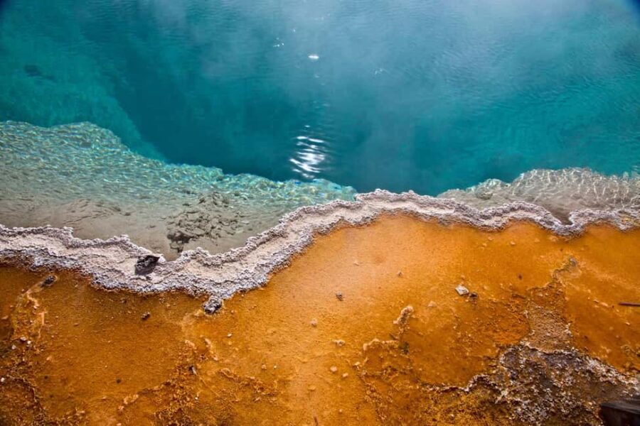 Private Highlight's Tour of Yellowstone National Park - Starting from Jackson Hole: Convenient Hotel Pickup and Drop-off