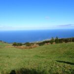 Private hike along the Levada - Meeting Point at Praça Infante Dom Henrique