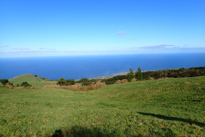 Private hike along the Levada - Meeting Point at Praça Infante Dom Henrique