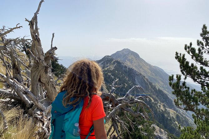 Private Hiking Tour in Çika Mountain - Scenic Viewpoints: Vlore Baypass and the Albanian Riviera