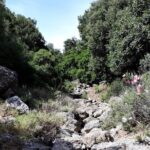PRIVATE Hiking Walking GORGE nearby Hersonissos CRETE - Convenience of Hassle-Free Transfers