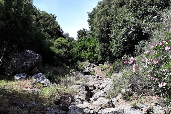 PRIVATE Hiking Walking GORGE nearby Hersonissos CRETE - Convenience of Hassle-Free Transfers