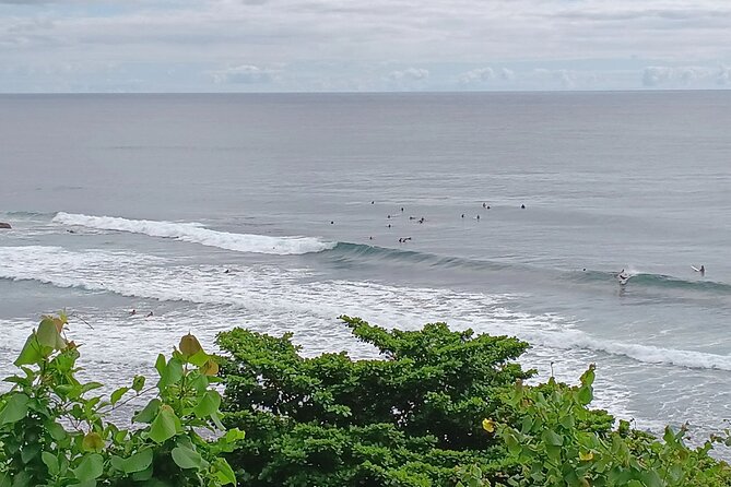 Private Hilo Shore Excursion Volcano National Park up to 14 - Unique Approach and Small-Group Exploration