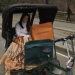 Private Hop on Hop off Central Park Pedicab Tour - Central Parks Iconic Landmarks on a Pedicab Route