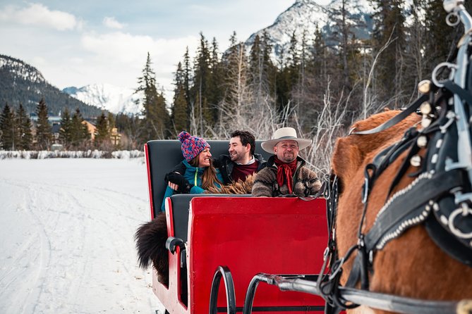 Private Horse-Drawn Sleigh Ride In Banff - The Route and Scenic Highlights of the Sleigh Ride