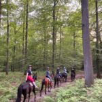 Private Horse Ride experience - Starting Point and Meeting Details at 67 Rue Louis Blanchet
