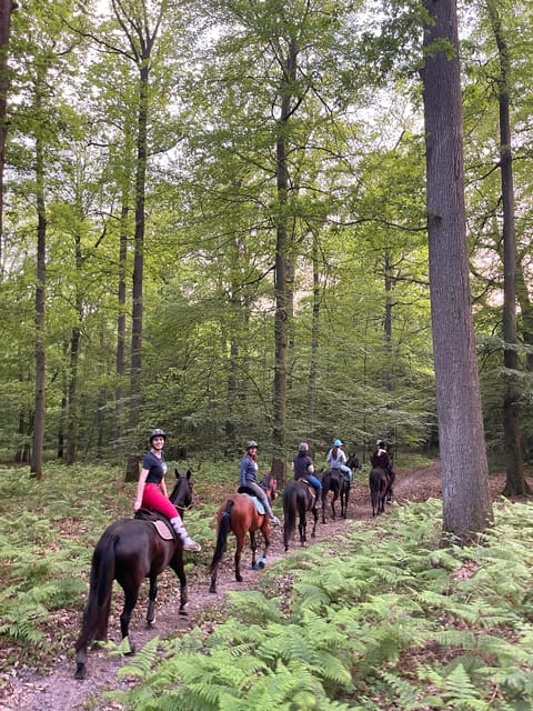 Private Horse Ride experience - Starting Point and Meeting Details at 67 Rue Louis Blanchet