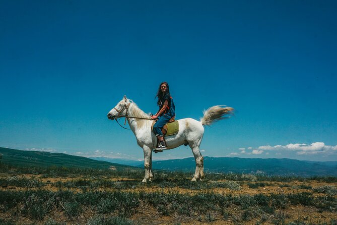 Private Horse Riding Adventure in Tbilisi - Starting Point at Budapesht Street in Tbilisi