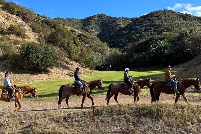 Private Horse Trail and Canyon Ride on Catalina Island - Meeting at Avalon and Starting the Adventure