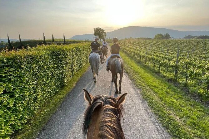 Private Horseback Riding Tour of the Vineyards in Verona with Wine Tasting - Medieval Majesty at Castelvecchio and the Arena