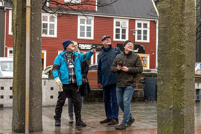 Private Icelandic Viking Age Walking Tour - The Starting Point: Ingólfur Square in Reykjavik