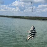 Private Inshore Fishing - How the Private Guide Customizes Your Fishing Experience