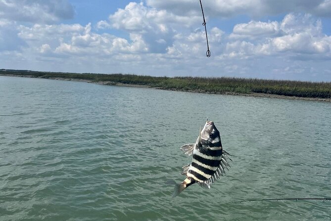 Private Inshore Fishing - How the Private Guide Customizes Your Fishing Experience