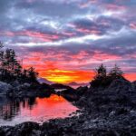 Private Island Experience in Sitka - Navigating the Itinerary: Wildlife, Activities, and Island Relaxation