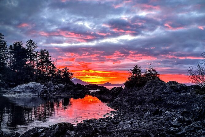 Private Island Experience in Sitka - Navigating the Itinerary: Wildlife, Activities, and Island Relaxation