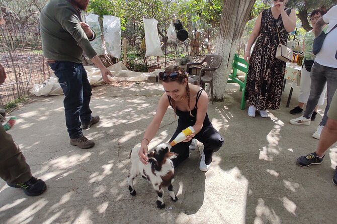 Private Jeep Tour - Zeus Cave - Cretan villages - Traversing the Gorge of Embasa and Gathering Herbs