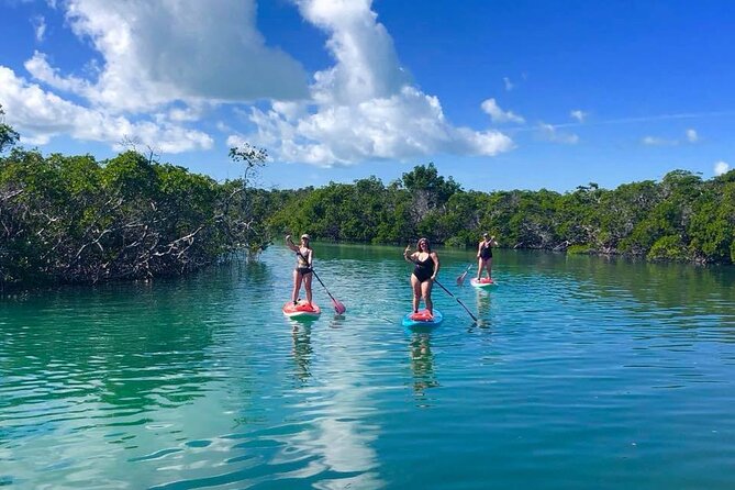 Private Key West Sandbar and Paddle by Boat - The Unique Mangrove Ecosystem and Waterways