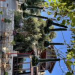 Private-Knossos Palace-Zeus -Villages-Olive Oil Factory - Visiting Traditional Villages: Mochos and Krasi