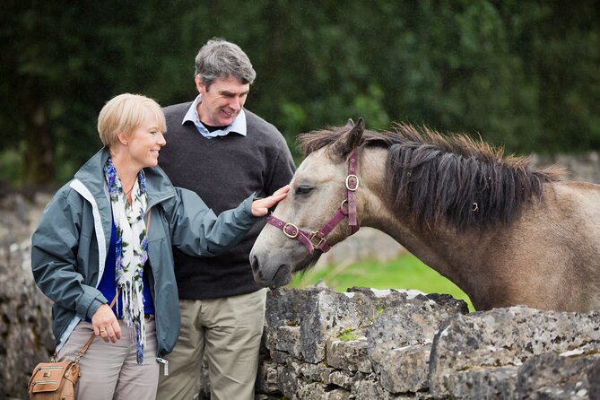 Private Kylemore Abbey Express - Starting Point and Booking Details in Galway
