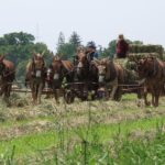 Private Lancaster County Amish Tour from Philadelphia - Discovering Amish Customs and Traditions