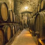 Private Langhe and Barolo Wine Tour from Milan - First Stop: Langhe Hills Boutique Winery and Tasting