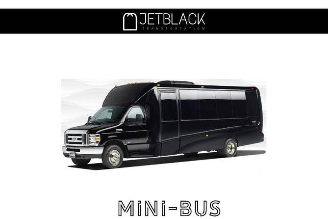 Private LGA Airport transfer / New York City (One Way) - The Experience of the Driver: Professional and Courteous