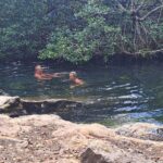 Private Local Island Tour With Food and Snorkel - Chen Rio: Cozumel’s Most Popular Wild Beach